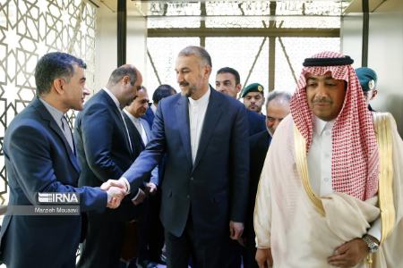 استقبال از حسین امیرعبداللهیان در عربستان،تصاویر خبری،عکس خبری استقبال از حسین امیرعبداللهیان در عربستان،تصاویر خبری،عکس خبری