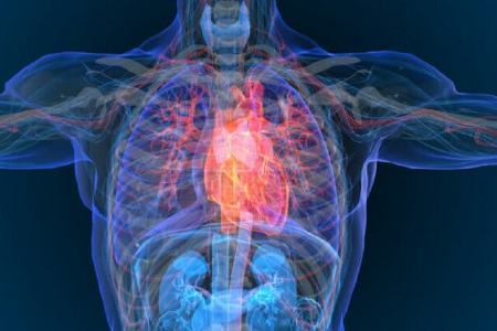 تشخیص زودهنگام بیماری قلبی،اخبار پزشکی،خبرهای پزشکی