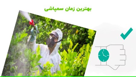بهترین زمان سم پاشی نهال بهترین زمان سم پاشی نهال