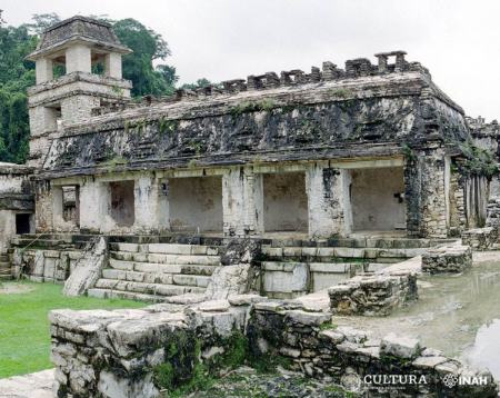 جواهر دماغ،اخبار گوناگون،خبرهای گوناگون جواهر دماغ،اخبار گوناگون،خبرهای گوناگون