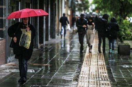 رگبار باران و وزش باد،اخبار اجتماعی،خبرهای اجتماعی
