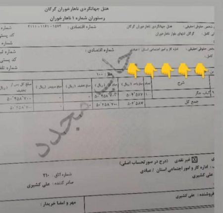 صولت مرتضوی،اخبار سیاسی،خبرهای سیاسی