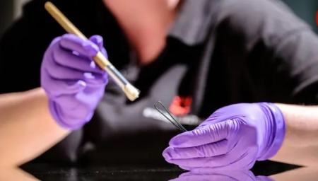 موچین،اخبار گوناگون،خبرهای گوناگون موچین،اخبار گوناگون،خبرهای گوناگون