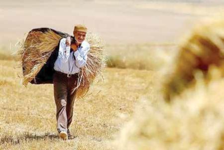 مطالبات باقیمانده کشاورزان،اخبار اقتصادی،خبرهای اقتصادی