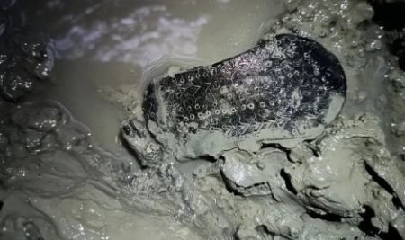 صندل رومی،اخبار گوناگون،خبرهای گوناگون صندل رومی،اخبار گوناگون،خبرهای گوناگون