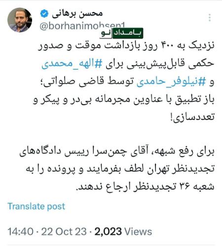نیلوفر حامدی،اخبار سیاسی،خبرهای سیاسی