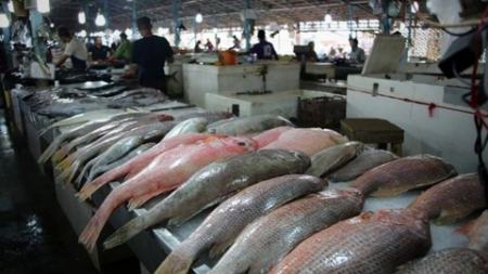 قیمت ماهی،اخبار اقتصادی،خبرهای اقتصادی