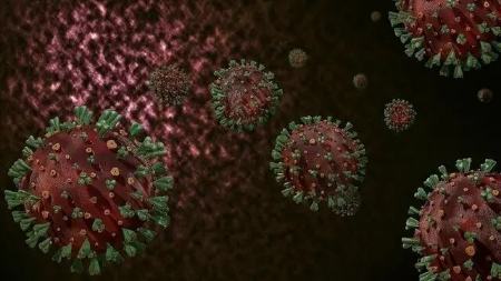 یک متخصص: ویروس جی‌ان.۱ یا وارد کشور شده یا به‌زودی وارد می‌شود  احتمال آغاز پیک جدید کرونا وجود داردیک متخصص بیماری‌های عفونی با بیان اینکه سویه جی‌ان.۱ کرونا یا در کشور ما وجود…