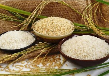 برنج هندی،اخبار اقتصادی،خبرهای اقتصادی