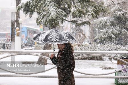 عکس خبری،برف در تهران عکس خبری،برف در تهران