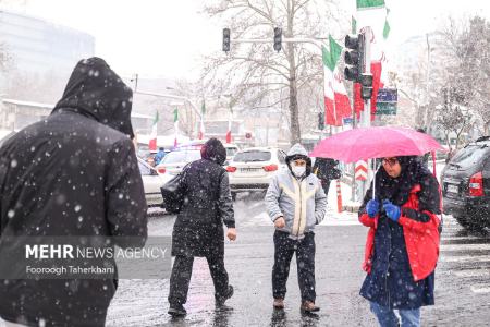 عکس خبری،برف در تهران عکس خبری،برف در تهران