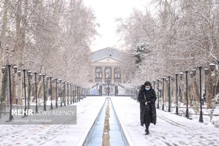 عکس خبری،برف در تهران عکس خبری،برف در تهران