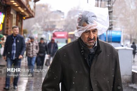 عکس خبری،برف در تهران عکس خبری،برف در تهران