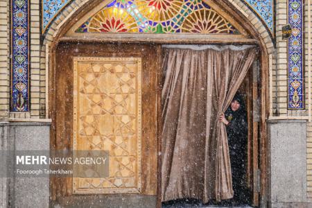 عکس خبری،برف در تهران عکس خبری،برف در تهران