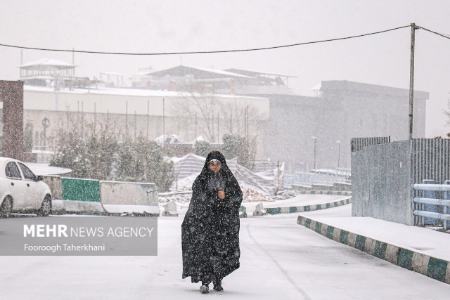 عکس خبری،برف در تهران عکس خبری،برف در تهران