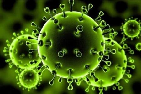 شیوع ویروس جدید در ایران،اخبار پزشکی،خبرهای پزشکی