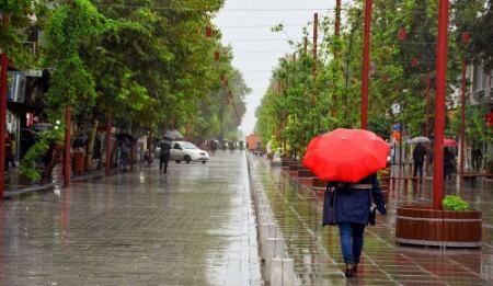 باران،اخبار اجتماعی،خبرهای اجتماعی