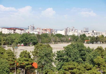 قطع درختان در تهران،اخبار اجتماعی،خبرهای اجتماعی قطع درختان در تهران،اخبار اجتماعی،خبرهای اجتماعی
