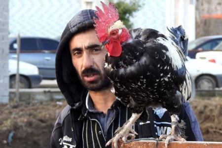 عکس خبری،بازار هفتگی گیلان عکس خبری،بازار هفتگی گیلان