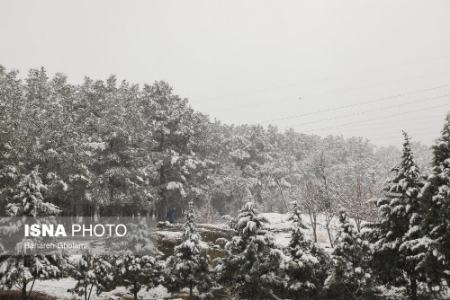 عکس خبری،اولین برف زمستانی اصفهان عکس خبری،اولین برف زمستانی اصفهان