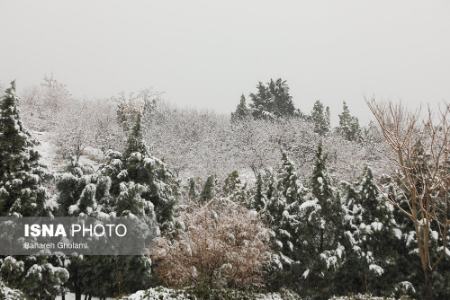 عکس خبری،اولین برف زمستانی اصفهان عکس خبری،اولین برف زمستانی اصفهان