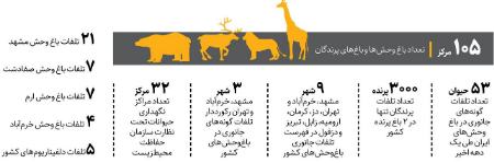 مرگ حیوانات،اخبار اجتماعی،خبرهای اجتماعی مرگ حیوانات،اخبار اجتماعی،خبرهای اجتماعی