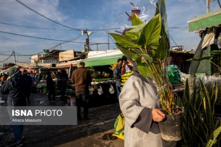 عکس خبری،خبرهای بازار گل محلاتی