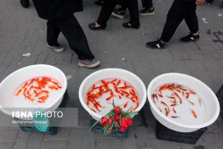 عکس خبری،خرید عید نوروز 1403 عکس خبری،خرید عید نوروز 1403
