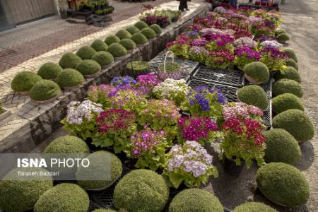عکس خبری،خرید عید نوروز 1403 عکس خبری،خرید عید نوروز 1403