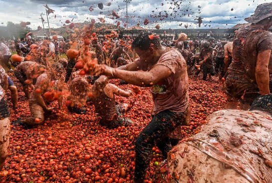 عکسهای جالب,عکسهای جذاب,جشنواره جنگ گوجه  