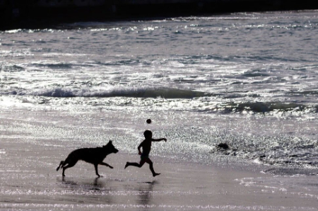 عکسهای جالب,عکسهای جذاب,بازی یک پسربچه با سگ در ساحل کالیفرنیا آمریکا 