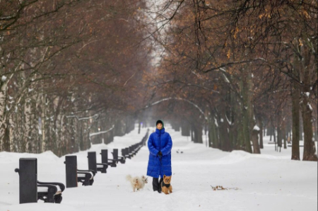 عکسهای جالب,عکسهای جذاب,بارش برف پاییزی در مسکو 