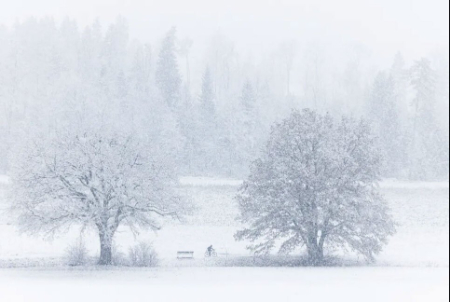 عکسهای جالب,عکسهای جذاب,بارش نخستین برف پاییزی در شهر زوریخ سوییس 