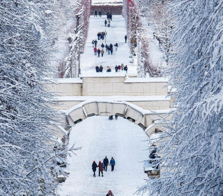عکسهای جالب,عکسهای جذاب,بارش برف پاییزی در شهر وین اتریش