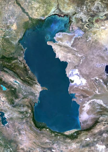 بزرگترین ها،اخبار گوناگون،خبرهای گوناگون