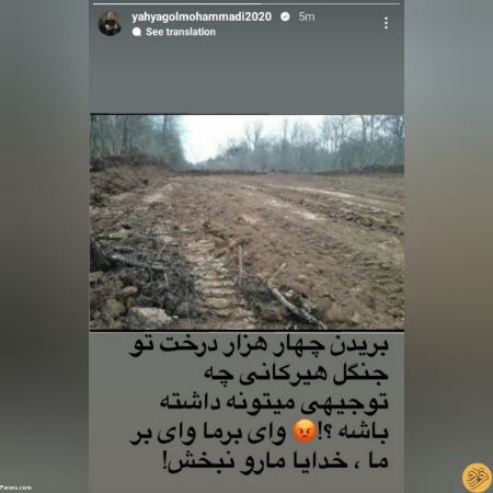 یحیی گل محمدی،اخبار ورزشی،خبرهای ورزشی یحیی گل محمدی،اخبار ورزشی،خبرهای ورزشی