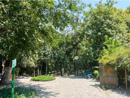 پارک قیطریه،اخبار اجتماعی،خبرهای اجتماعی پارک قیطریه،اخبار اجتماعی،خبرهای اجتماعی