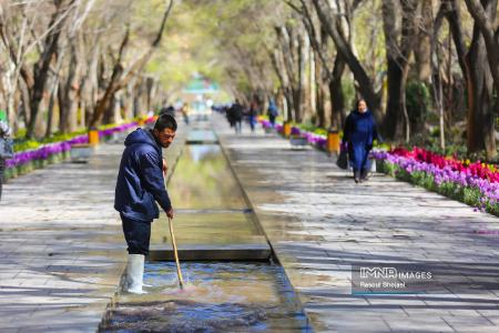 عکس خبری،چهارباغ اصفهان در بهار 1403