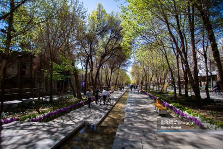 عکس خبری،چهارباغ اصفهان در بهار 1403 عکس خبری،چهارباغ اصفهان در بهار 1403