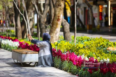 عکس خبری،چهارباغ اصفهان در بهار 1403 عکس خبری،چهارباغ اصفهان در بهار 1403