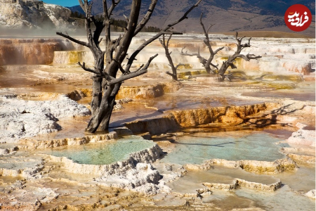 فسیل فکّ انسان ،اخبارگوناگون,خبرهای گوناگون فسیل فکّ انسان ,اخبارگوناگون,خبرهای گوناگون