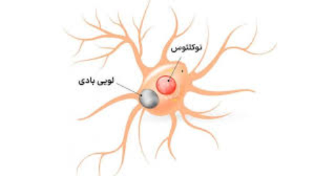بیماری پارکینسون ،اخبار پزشکی ،خبرهای پزشکی بیماری پارکینسون ,اخبار پزشکی ,خبرهای پزشکی