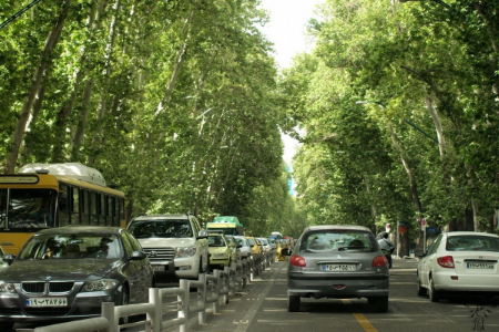  قطع درختان ولیعصر ,اخبار اجتماعی ,خبرهای اجتماعی 