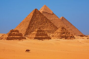 اخبار،اخبار جدید،اخبار روز اخبار،اخبار جدید،اخبار روز