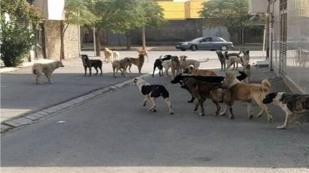 اخبار،اخبار جدید،اخبار روز اخبار،اخبار جدید،اخبار روز