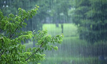 سازمان هواشناسی،اخباراجتماعی ،خبرهای اجتماعی سازمان هواشناسی,اخبار اجتماعی ,خبرهای اجتماعی