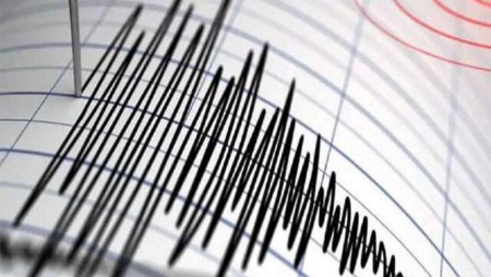 حوادث روز ،اخبارحوادث،خبرهای حوادث حوادث روز,اخبار حوادث,خبرهای حوادث