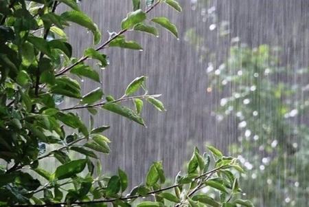 احتمال رگبار باران و رعد و برق در مناطق غربی و شمالی کشور،اخبار اجتماعی،خبرهای اجتماعی احتمال رگبار باران و رعد و برق در مناطق غربی و شمالی کشور،اخبار اجتماعی،خبرهای اجتماعی
