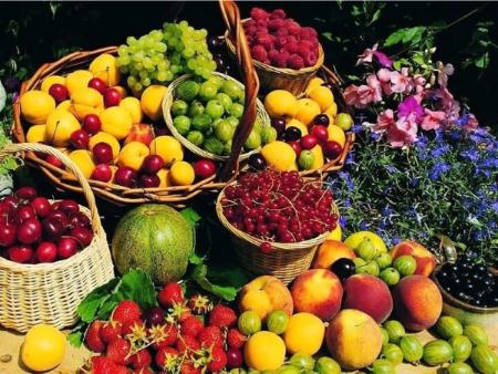 گرانی میوه،اخبار اقتصادی،خبرهای اقتصادی گرانی میوه،اخبار اقتصادی،خبرهای اقتصادی
