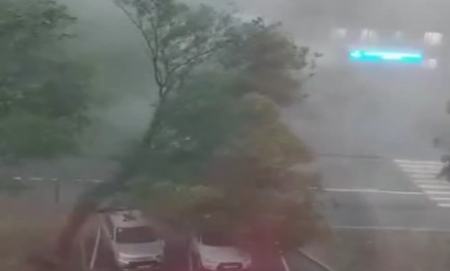 طوفان مرگبار در مسکو،اخبار حوادث،خبرهای حوادث طوفان مرگبار در مسکو،اخبار حوادث،خبرهای حوادث